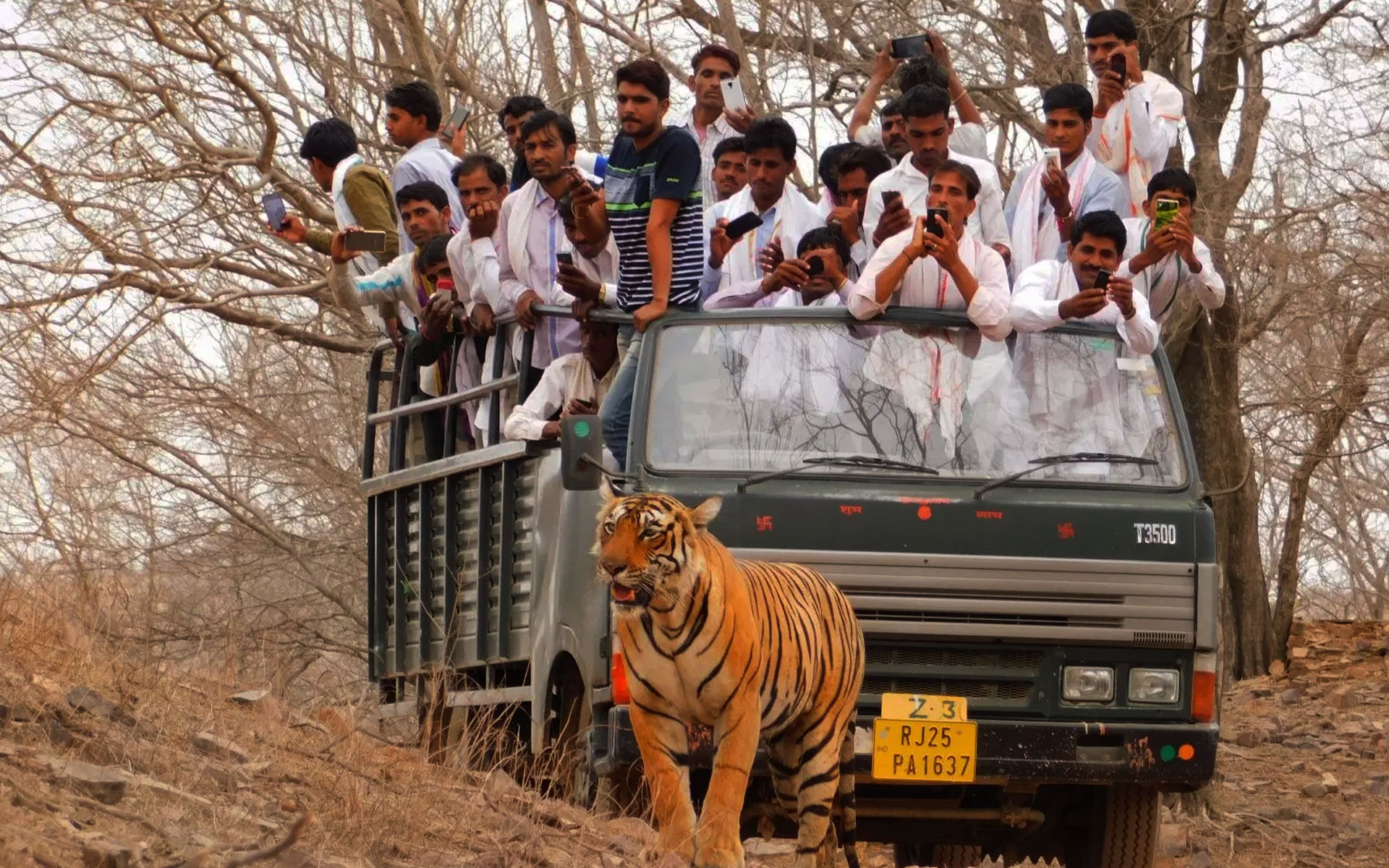 Jim Corbett Canter Safari Package