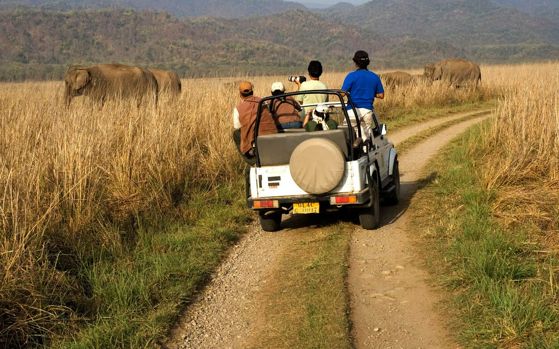 Jeep Safari at Jim Corbett Jungle Resort